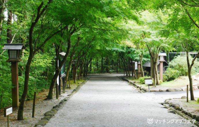 身曾岐神社②