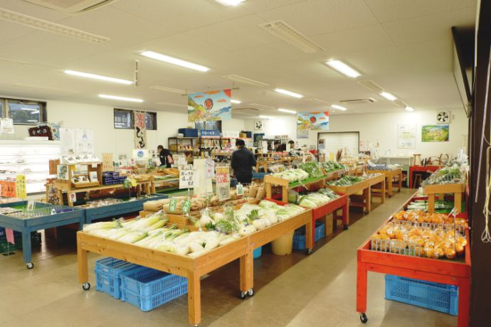 道の駅「海の京都　宮津」のまごころ市内観