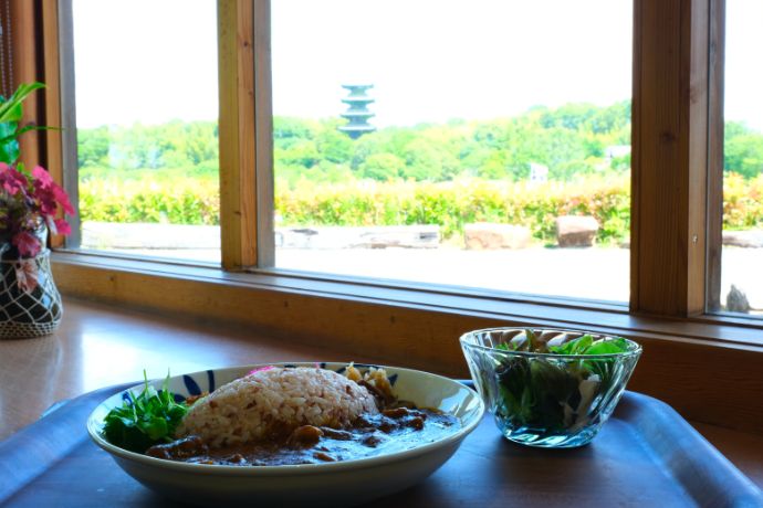 もてなしの館カレーと五重塔