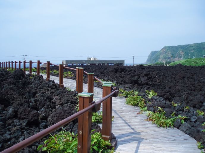 東京都三宅島にある火山体験遊歩道