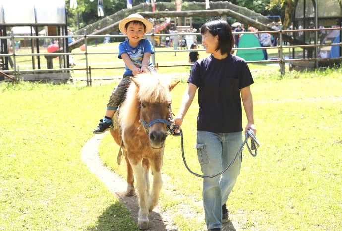 千葉県佐倉市にある草ぶえの丘でふれあえるポニー