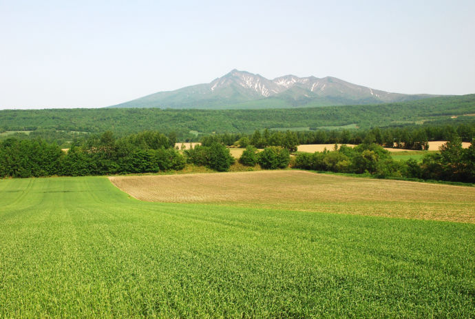 斜里岳の農村風景