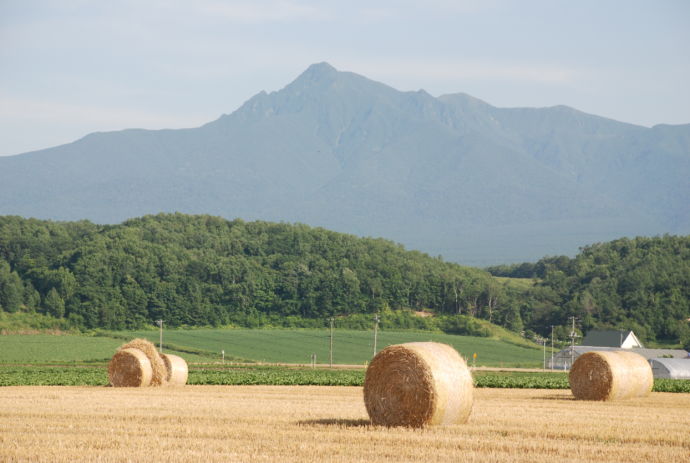 斜里岳と牧草ロール