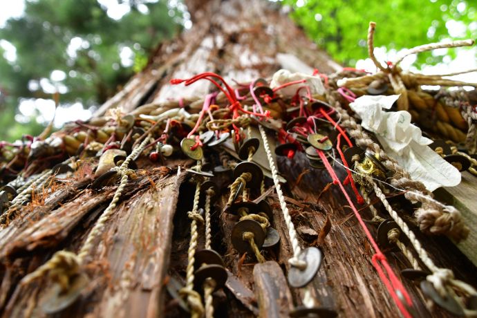 福島県耶麻郡にある磐椅神社に良縁祈願として結ばれる5円玉