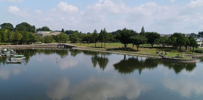 我孫子市の手賀沼公園の風景