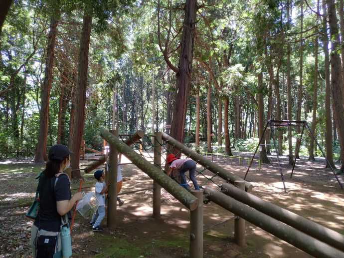 我孫子市の五本松公園