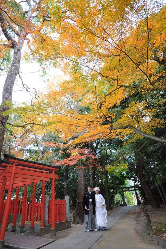 阿比太神社の大杉稲荷社前で身を寄せ合う新郎新婦