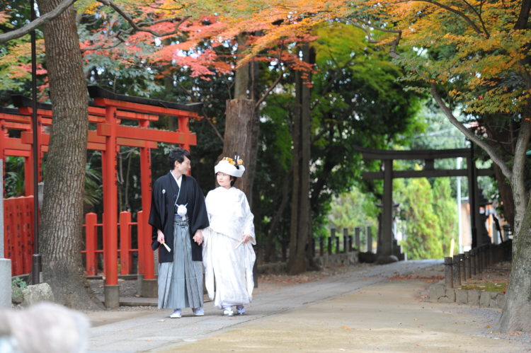 阿比太神社では毎月、何組くらい挙式が行われますか？