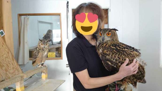 ふくろうの集うカフェQuillでフクロウを腕乗せしている写真