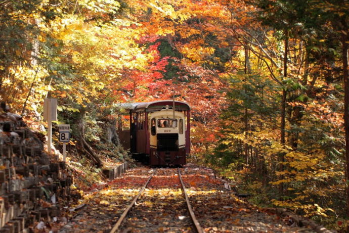 上松町の森林鉄道