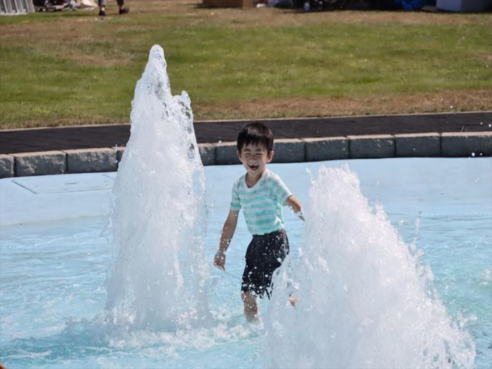 夏の農村公園の噴水