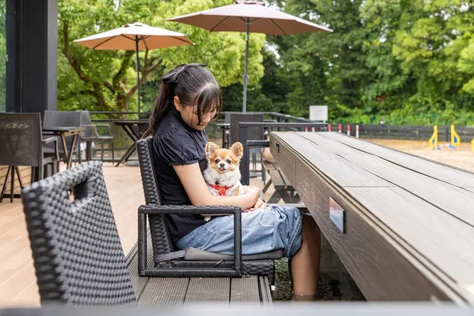 「愛犬の駅 伊豆高原」の足湯コーナー(飼い主専用)