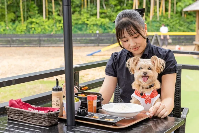 「愛犬の駅 伊豆高原」の屋外カフェテラス席