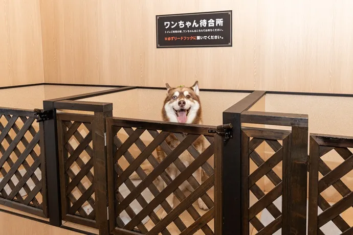 「愛犬の駅 伊豆高原」店内のワンちゃん待合所