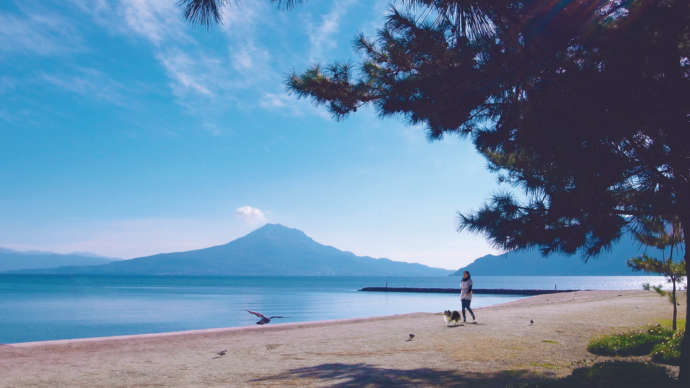 姶良市の重富海岸