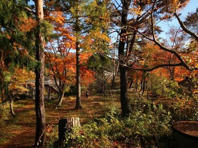 柳津町の映えスポット「瑞光寺公園」