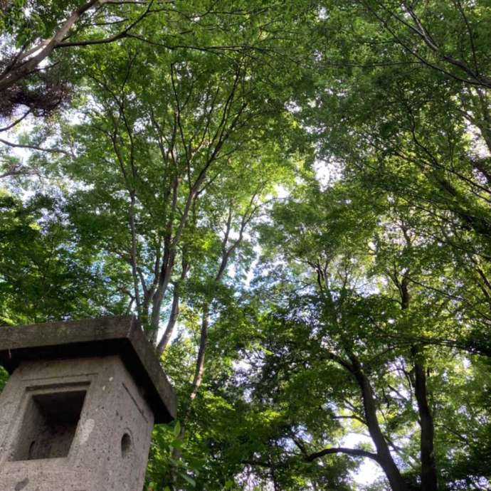 赤岩山光恩寺の初夏の境内