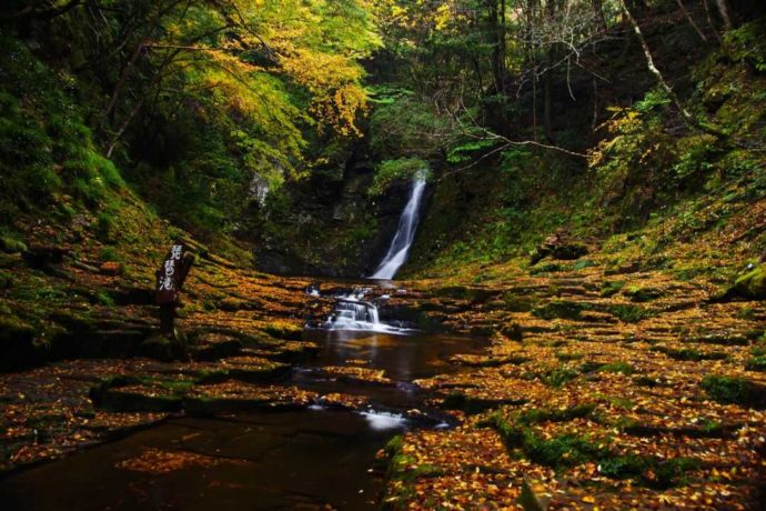 日本サンショウウオセンターからほど近くの赤目四十八滝と紅葉