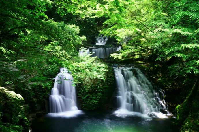 日本サンショウウオセンターからほど近くの赤目四十八滝で水しぶきが上がる様子