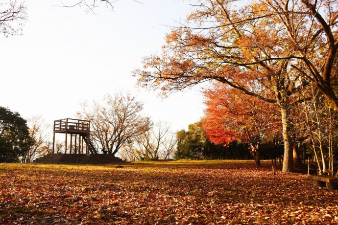 紅葉の季節の戸城山