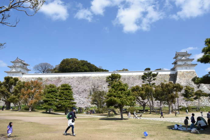 明石公園の風景