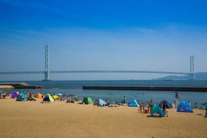 大蔵海岸公園の海水浴シーズン