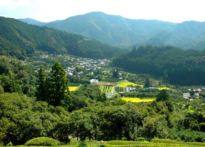 安芸市の中山間地域