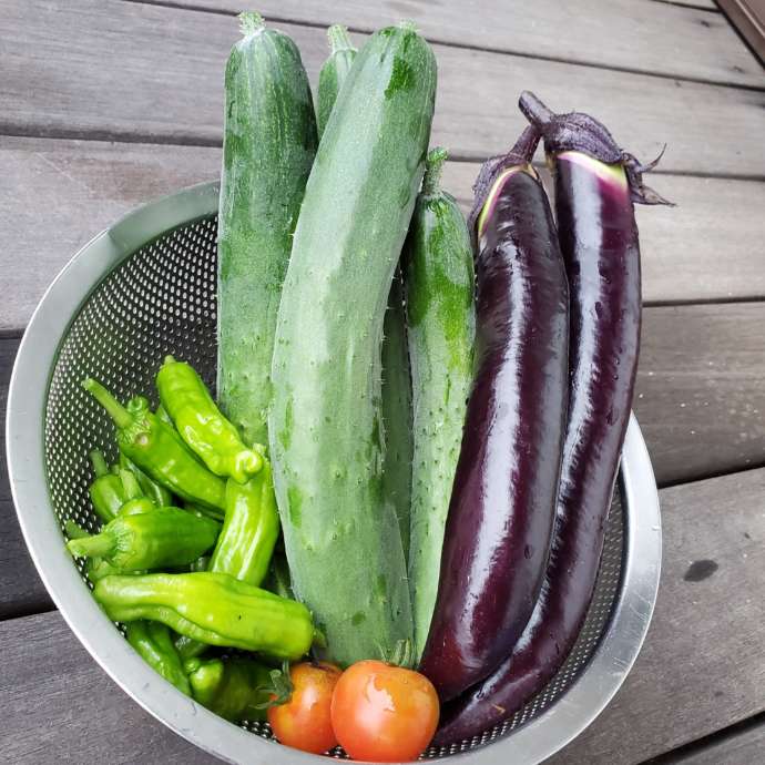 安芸太田町でとれた野菜