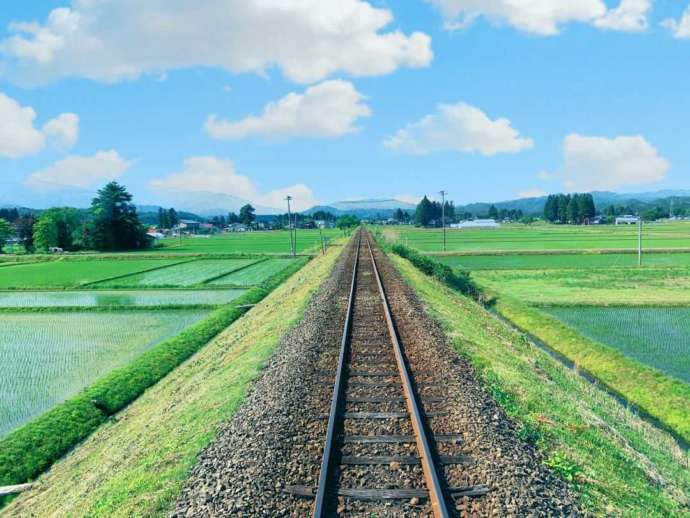 鉄道の両脇に田んぼが広がる風景