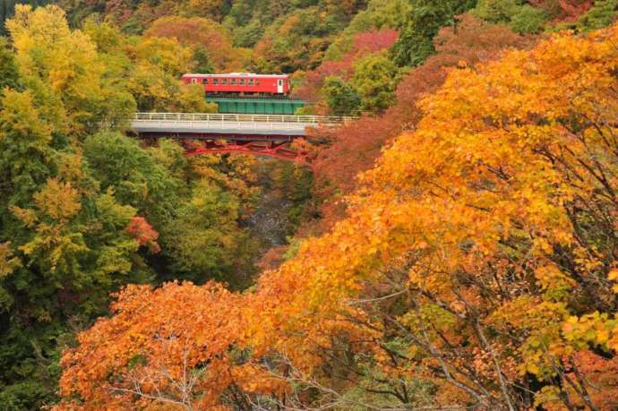 紅葉の山の中を走る秋田内陸縦貫鉄道