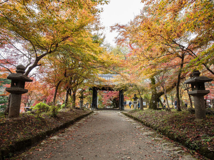 秋月城跡の黒門と紅葉