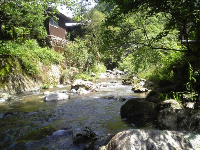 「釣り堀 あまごの里」のすぐ前を流れる渓流