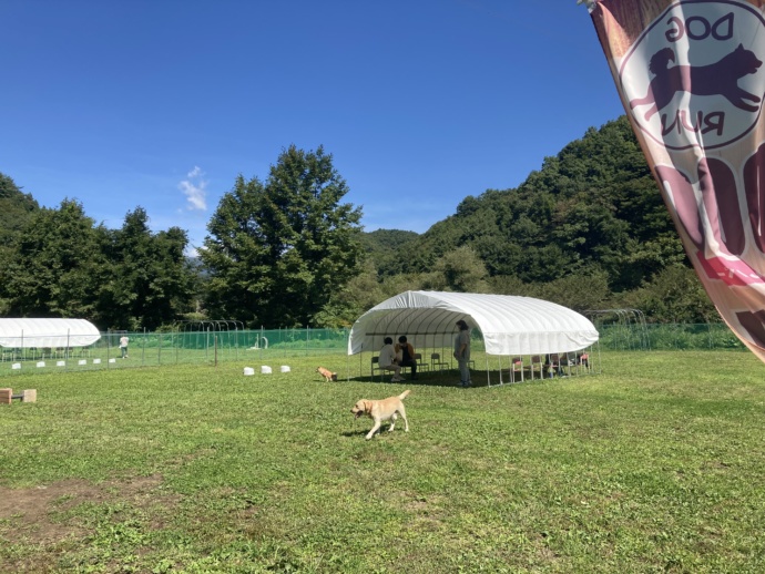 岩手県岩手郡雫石町の「道の駅 雫石あねっこ」にあるドッグラン