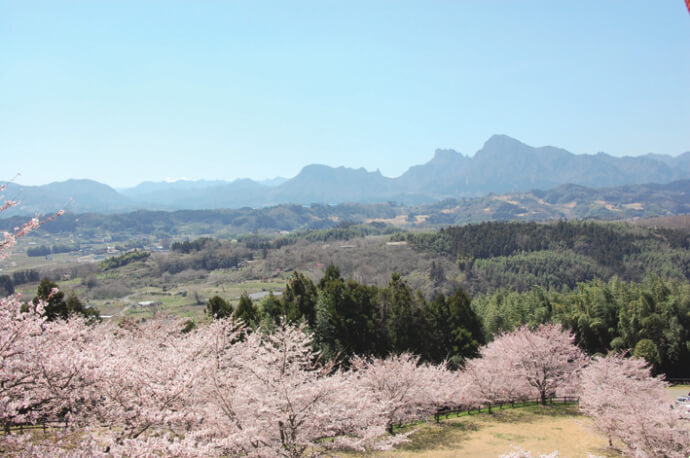 遠くに妙義山をのぞみ、手前に後閑城址公園の桜