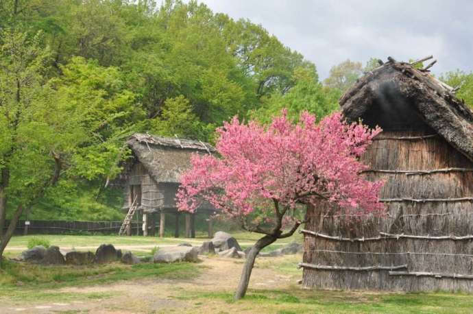 古墳塚麓の縄文住居