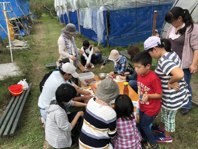 広島県庄原市でりんご狩りができる青才りんご園