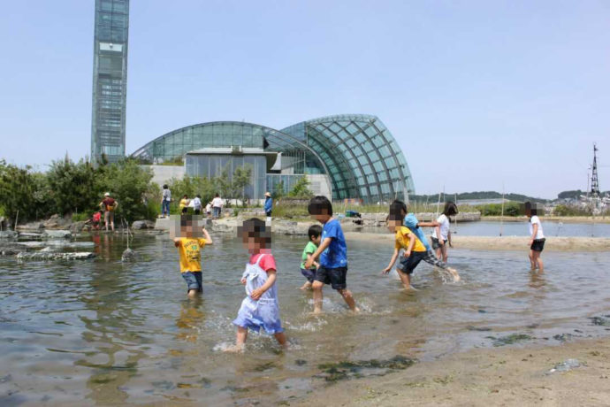 「環境水族館アクアマリンふくしま」の蛇の目ビーチ