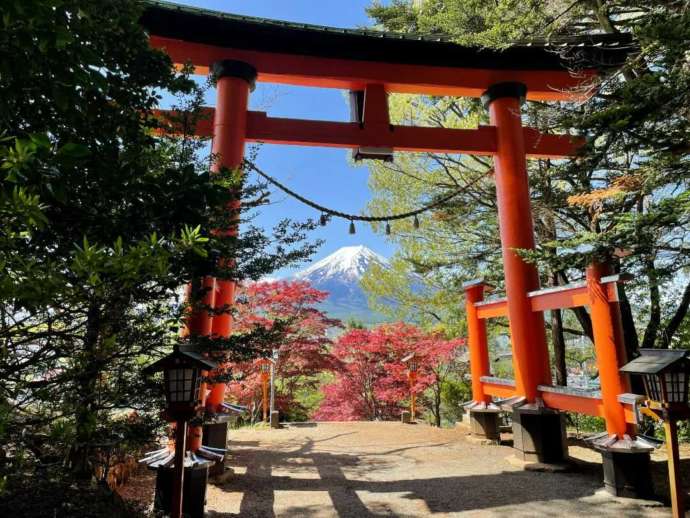 新倉富士浅間神社の大鳥居と富士山