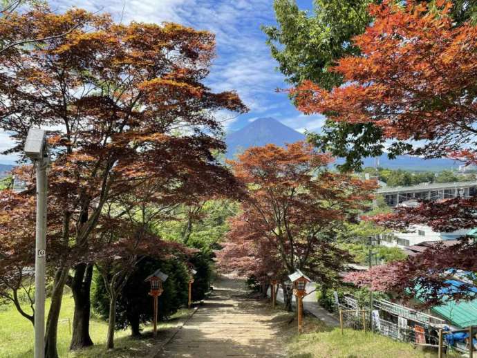 新倉富士浅間神社の表参道