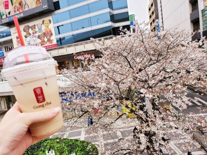 アルシェ大宮をバックに桜とタピオカドリンク