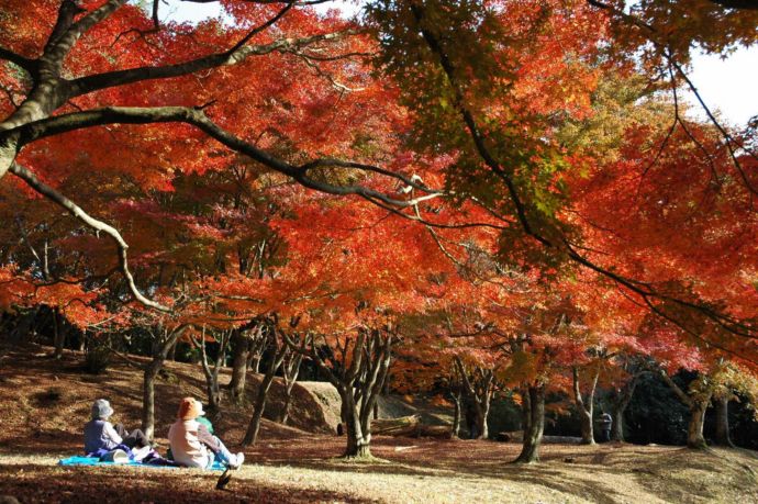 麓城跡で紅葉を眺める人々