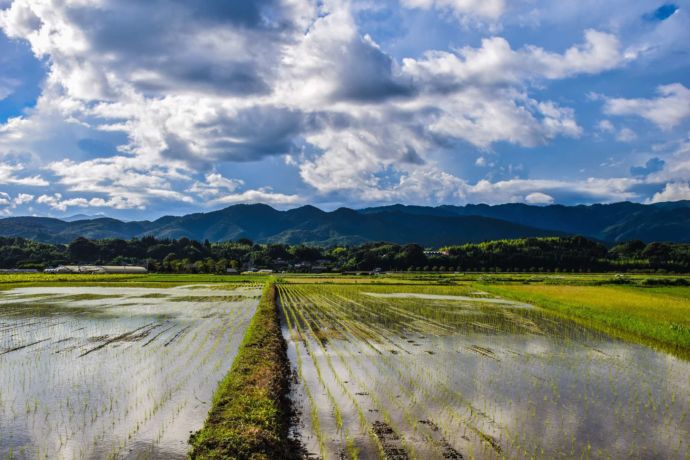 田園風景