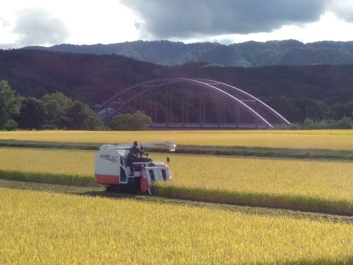 芦別市の農業