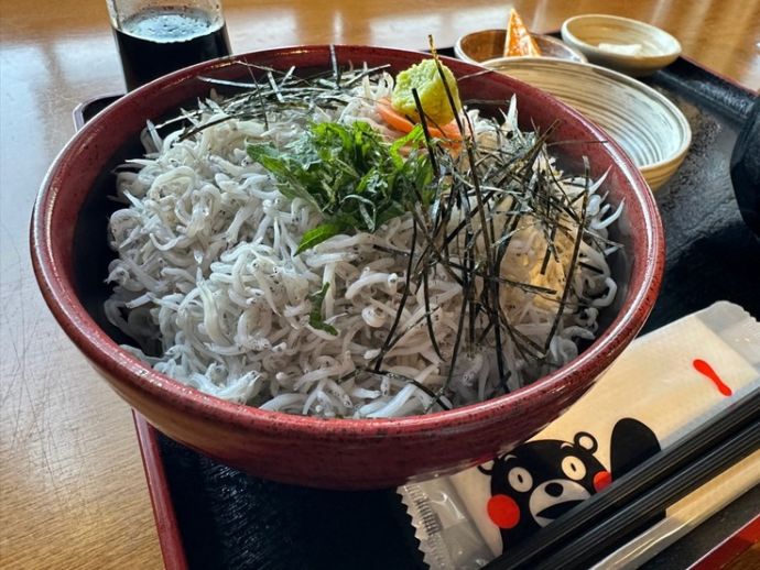 芦北町で獲れたしらすがたっぷりのったしらす丼