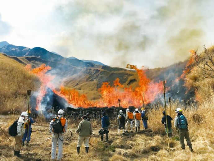 枯れ草を焼き払う「野焼き」の風景