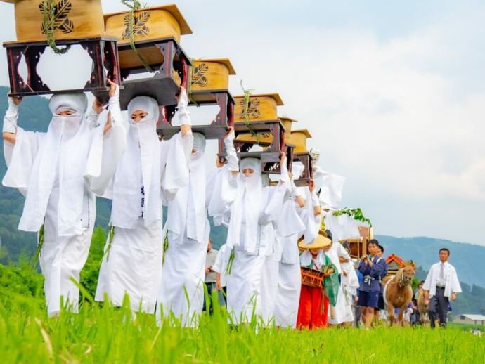 阿蘇神社で行われる「御田植神幸式」の風景