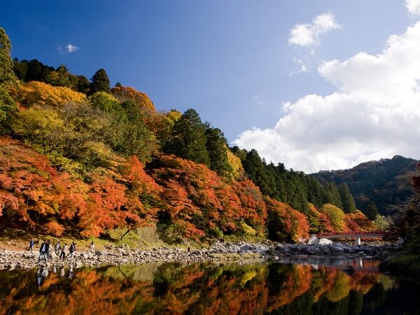 香嵐渓の紅葉の様子