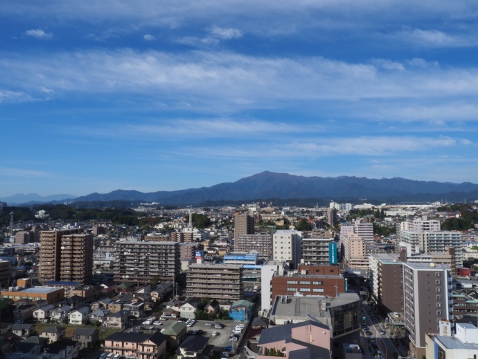 神奈川県厚木市の全景写真