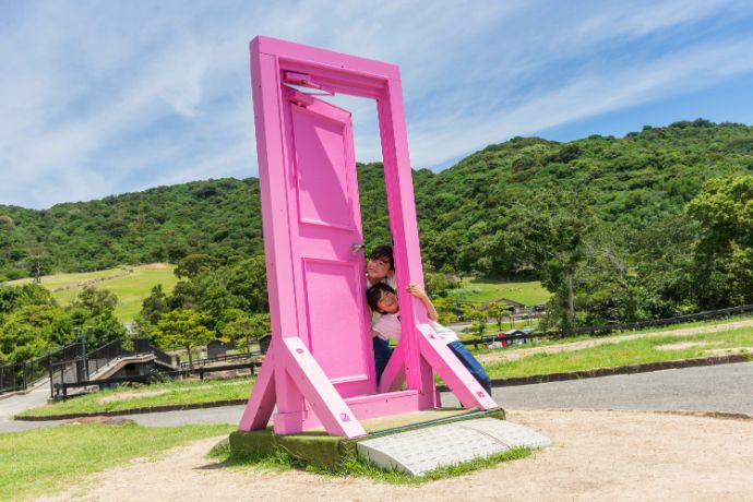 兵庫県南あわじ市にある淡路ファームパーク イングランドの丘のコスモス畑