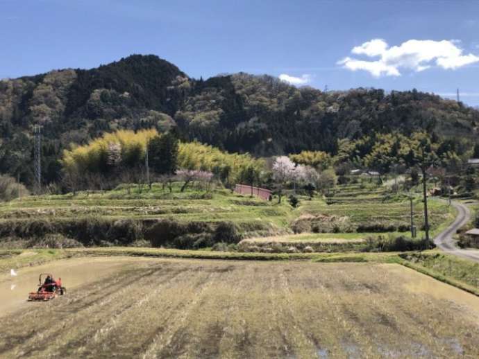 綾部市の田園風景